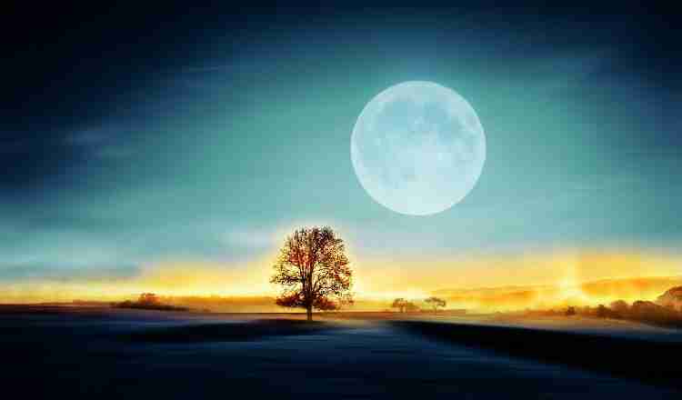 【妄想】アニメキャラ達の忘年会・新年会【雑談】