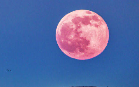 【妄想】アニメキャラ達の忘年会・新年会【雑談】