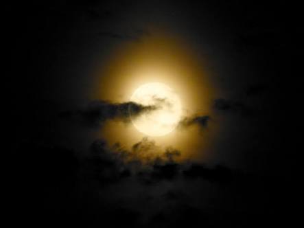 【妄想】アニメキャラ達の忘年会・新年会【雑談】