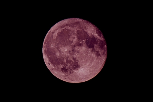 【妄想】アニメキャラ達の忘年会・新年会【雑談】