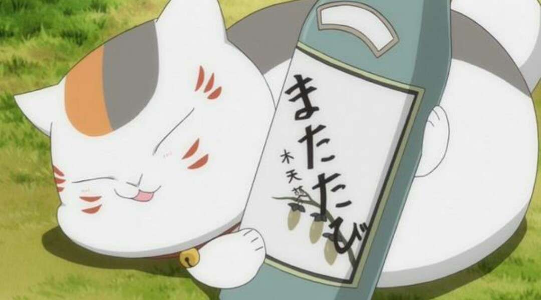 【妄想】アニメキャラ達の忘年会・新年会【雑談】