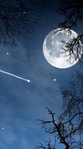 【妄想】アニメキャラ達の忘年会・新年会【雑談】