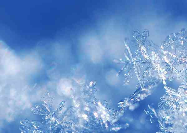 美しい雪の結晶が集まるトピ