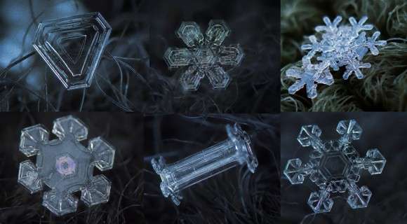 美しい雪の結晶が集まるトピ