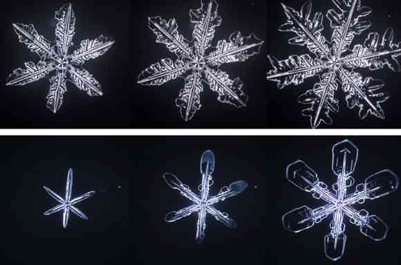 美しい雪の結晶が集まるトピ