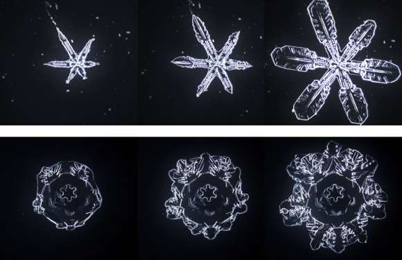 美しい雪の結晶が集まるトピ