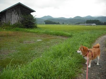 夫以外誰も知り合いのいない土地へ嫁いだ方