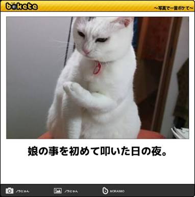 【育児】理想と現実