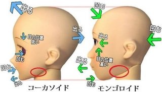 輪郭コンプレックスな人