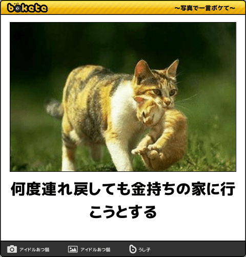 変わった体質の方