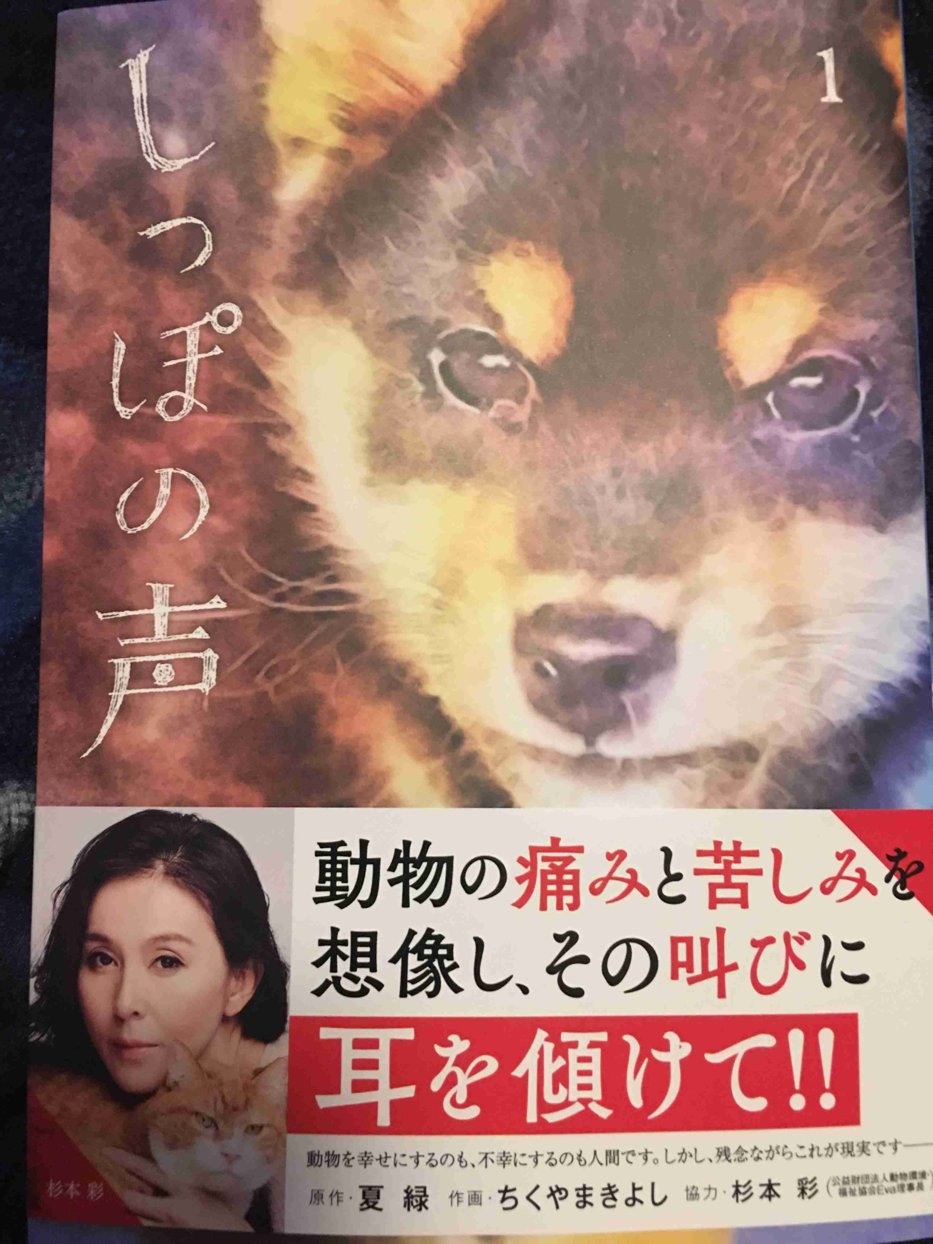 杉本彩さん好きな方