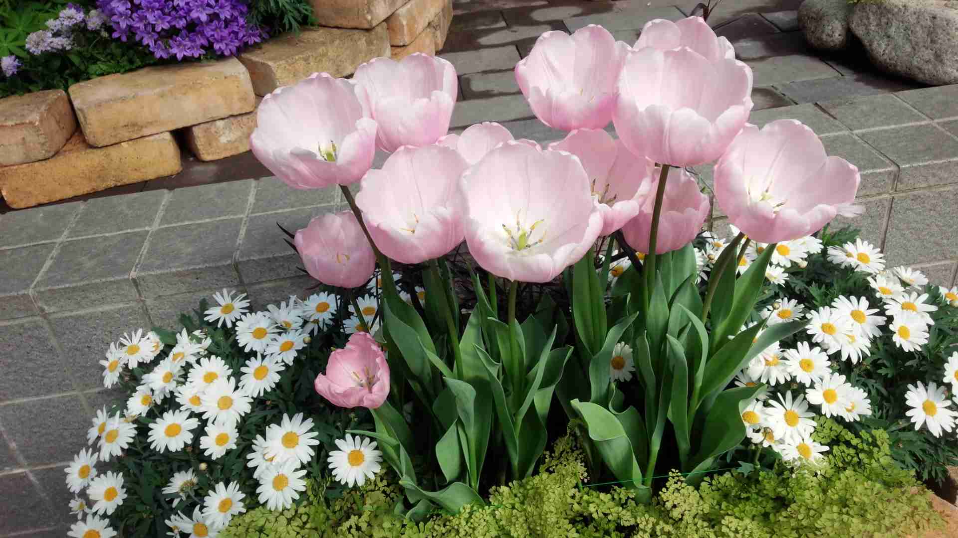 あなたが一番好きな花！