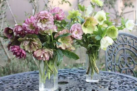 あなたが一番好きな花！
