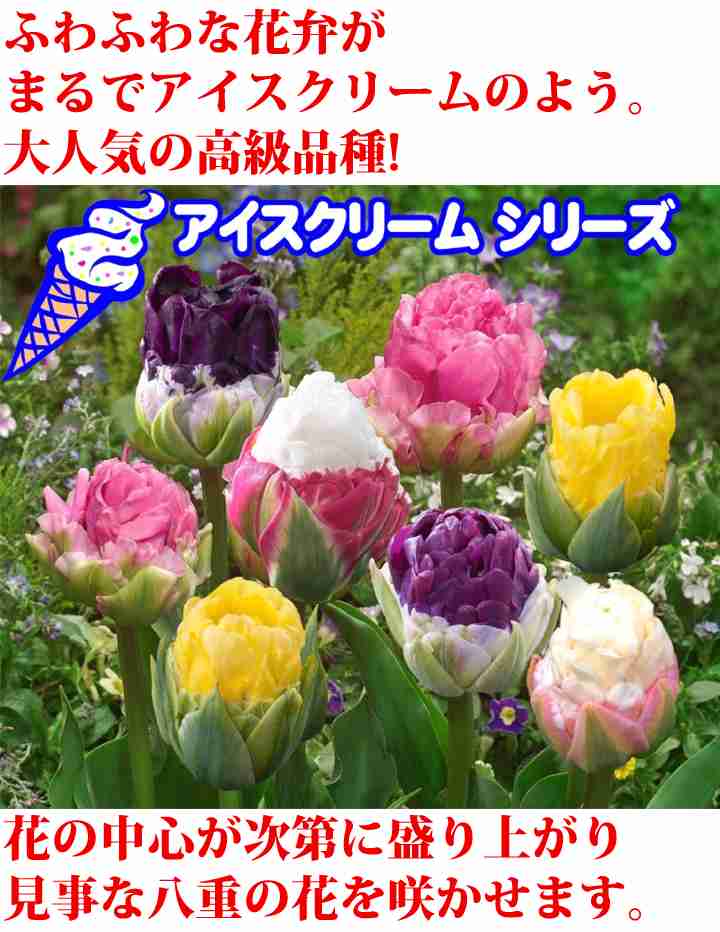 あなたが一番好きな花！
