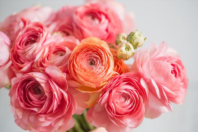 あなたが一番好きな花！