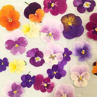 あなたが一番好きな花！