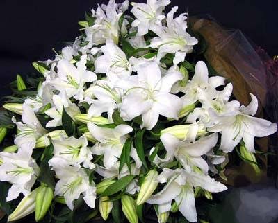 あなたが一番好きな花！