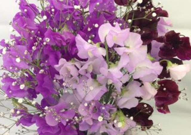 あなたが一番好きな花！