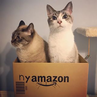 Amazonでありがちなこと
