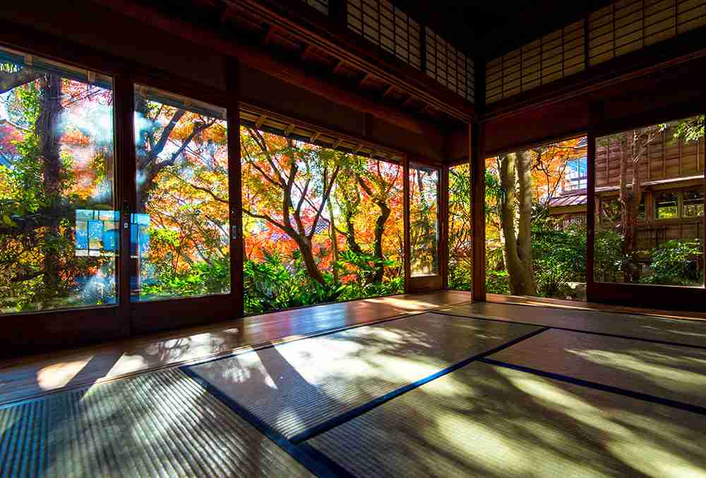 【実況・感想】独占緊急特報!!貴乃花親方105日沈黙破りすべてを語る