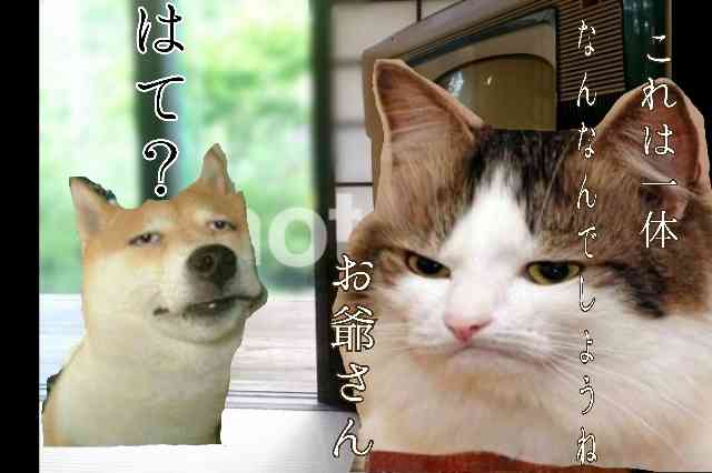 【今週のわろてんか】ちっちゃな恋のものがたり