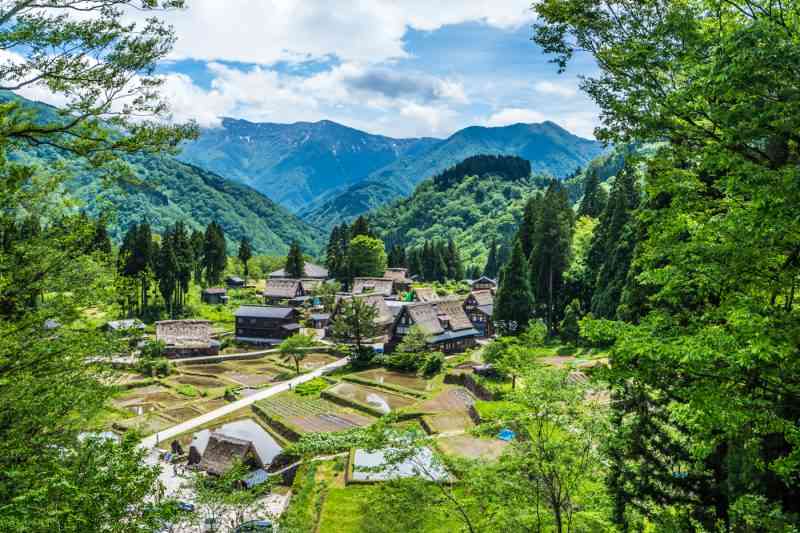 田舎の画像で癒されるトピ