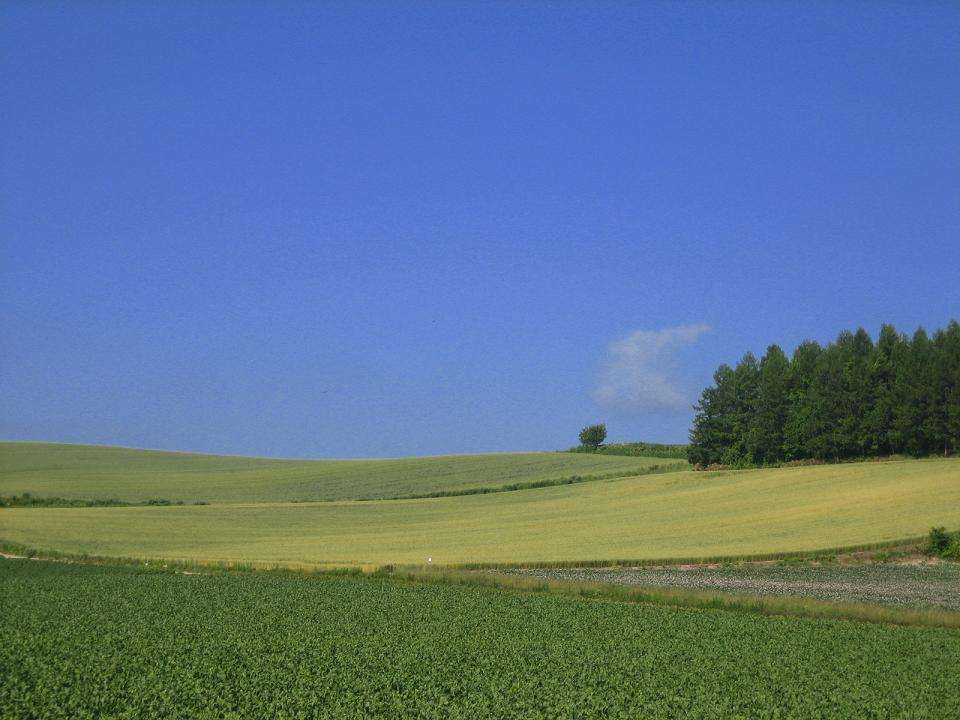 田舎の画像で癒されるトピ