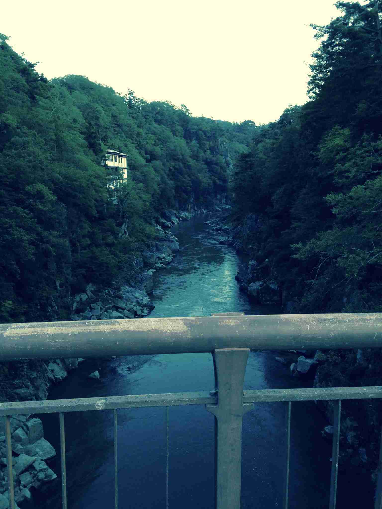 田舎の画像で癒されるトピ