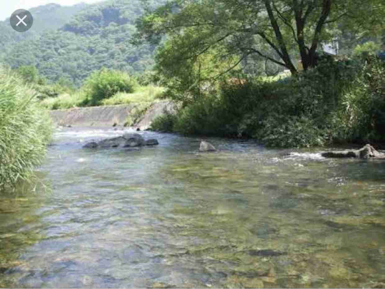 田舎の画像で癒されるトピ
