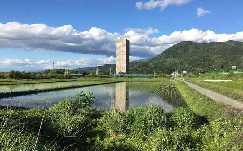 田舎の画像で癒されるトピ