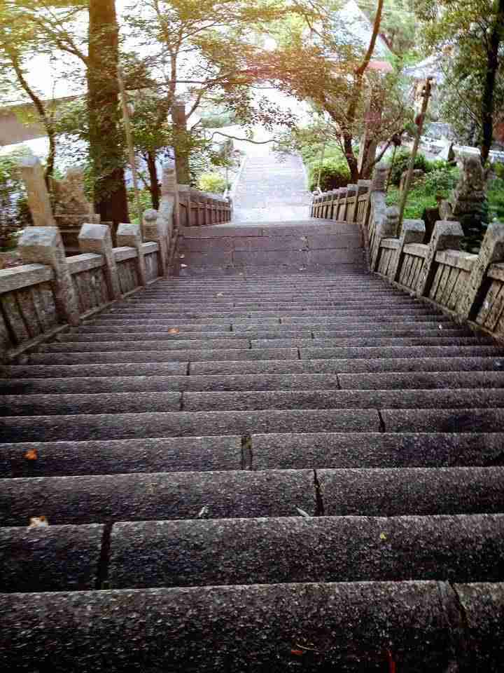 田舎の画像で癒されるトピ