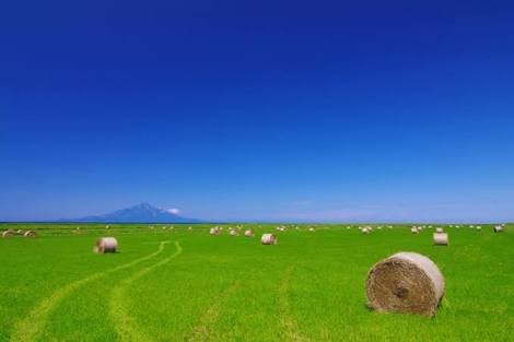 田舎の画像で癒されるトピ