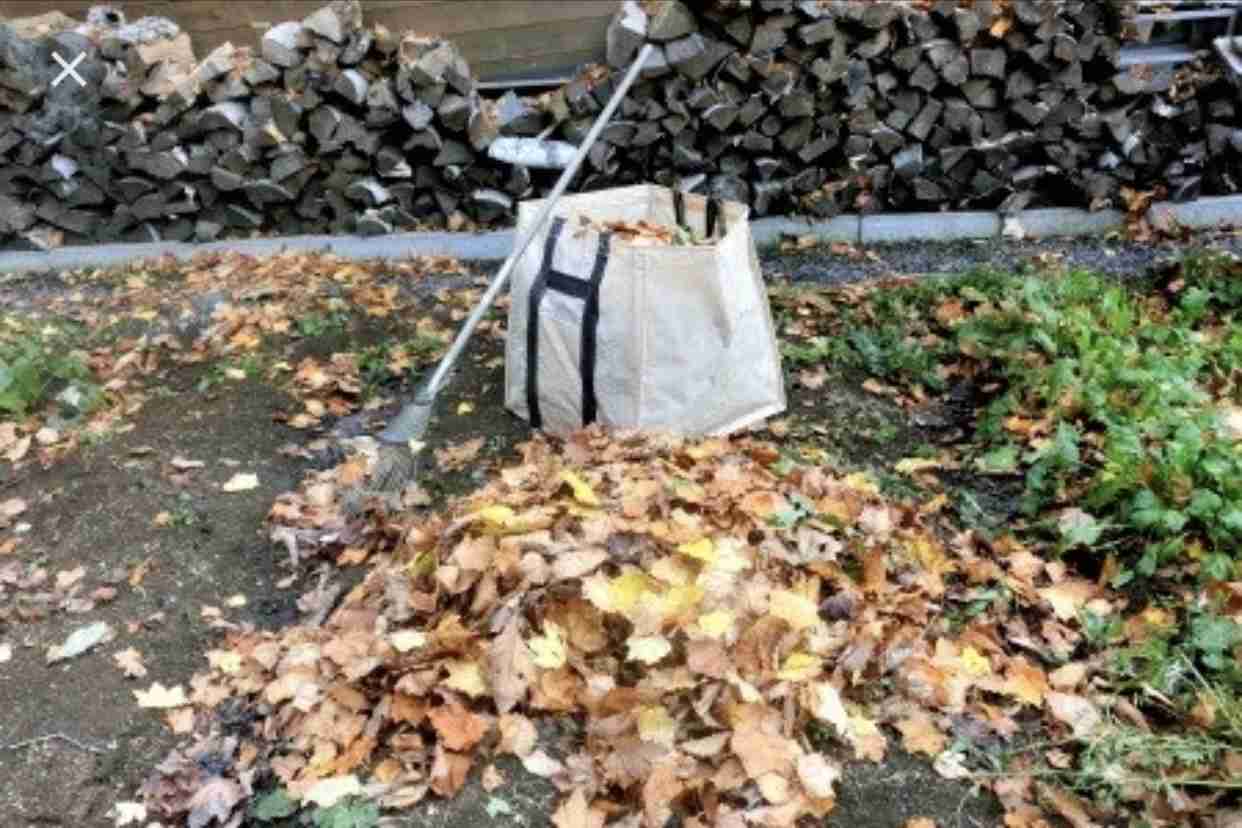 田舎の画像で癒されるトピ