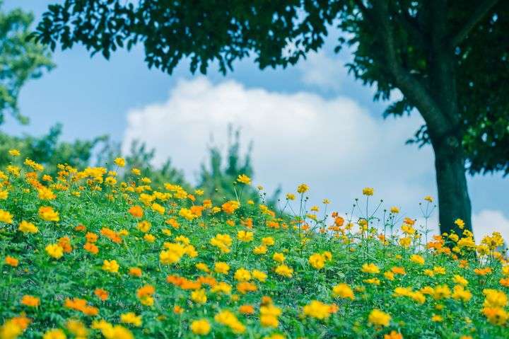 海リゾート、山リゾート、どっちが好きですか?