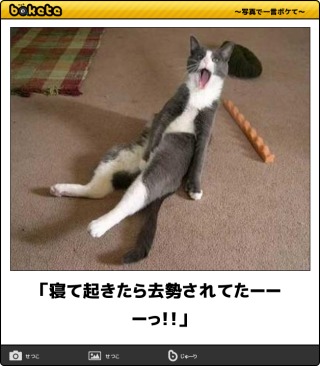 なぜ日本は去勢が刑罰にないのですか？