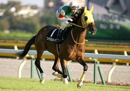 なぜ日本は去勢が刑罰にないのですか？