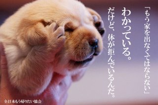 【励まして】明日が憂鬱な人〜