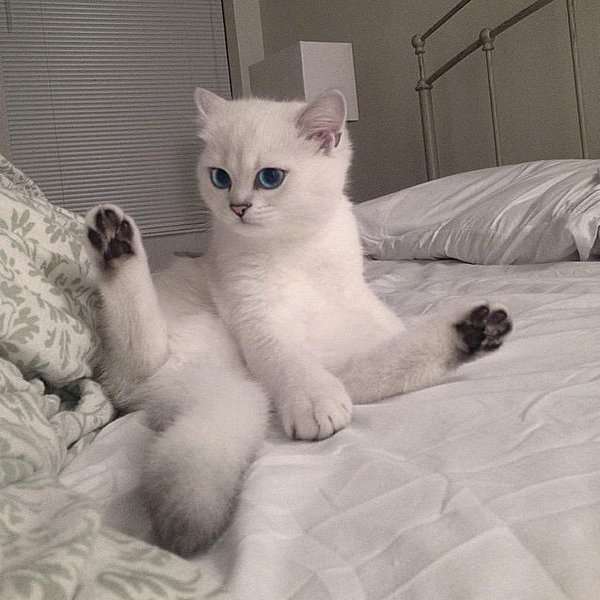 なぜ保存したのか分からない画像を貼るトピ