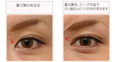 なぜ保存したのか分からない画像を貼るトピ