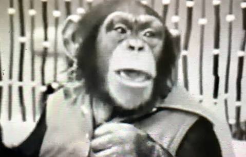 懐かしいテレビ番組の画像