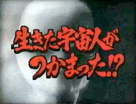 懐かしいテレビ番組の画像