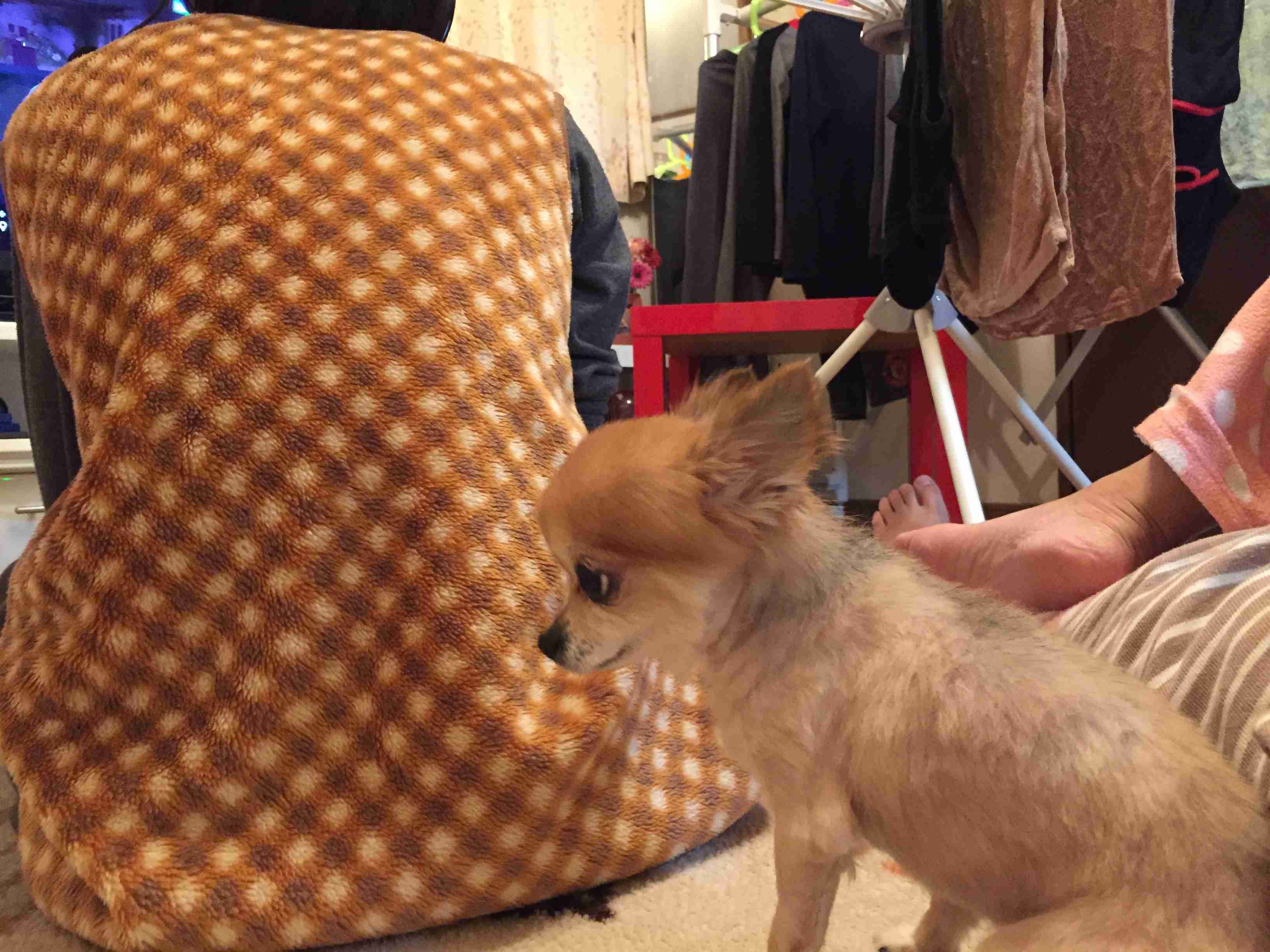 生活感溢れる写真☆part3