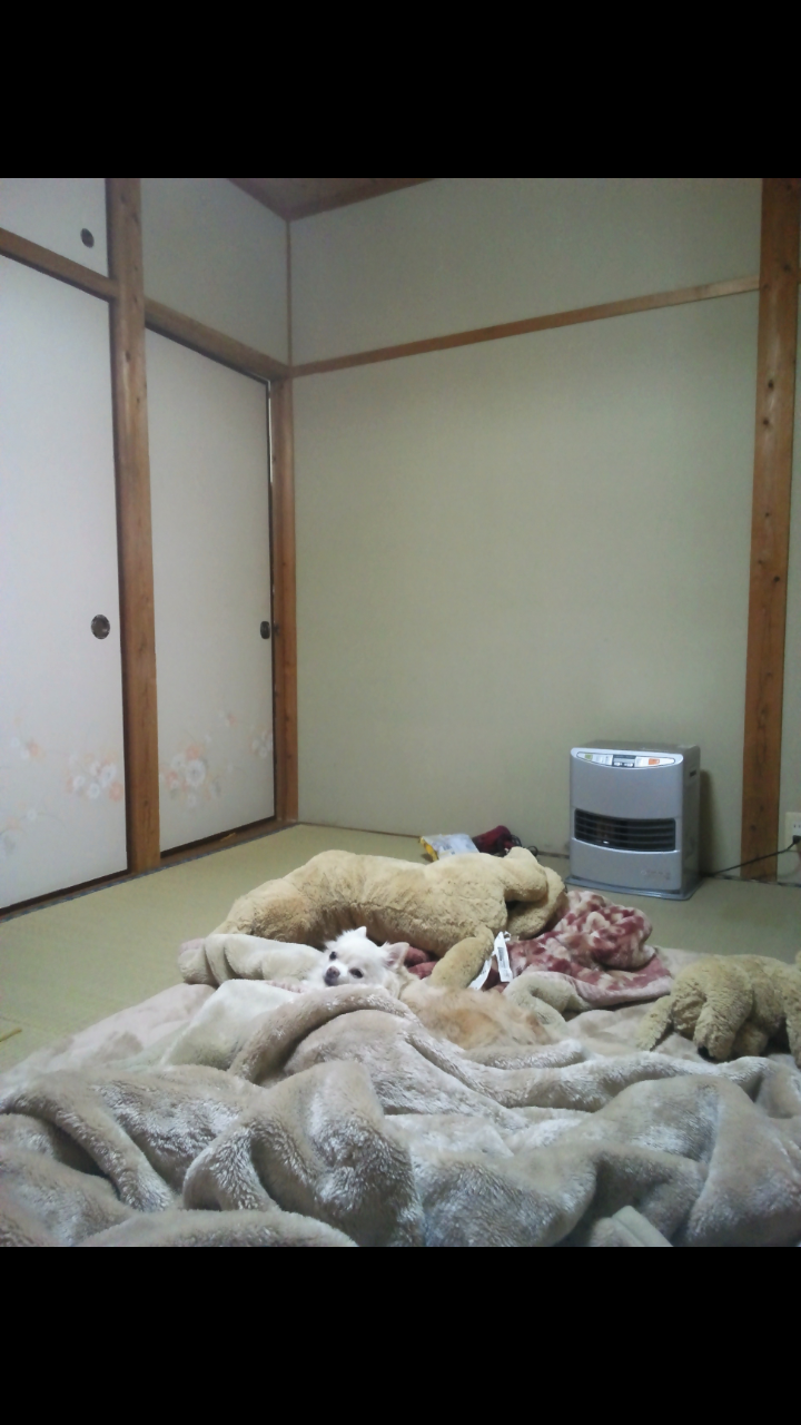 生活感溢れる写真☆part3