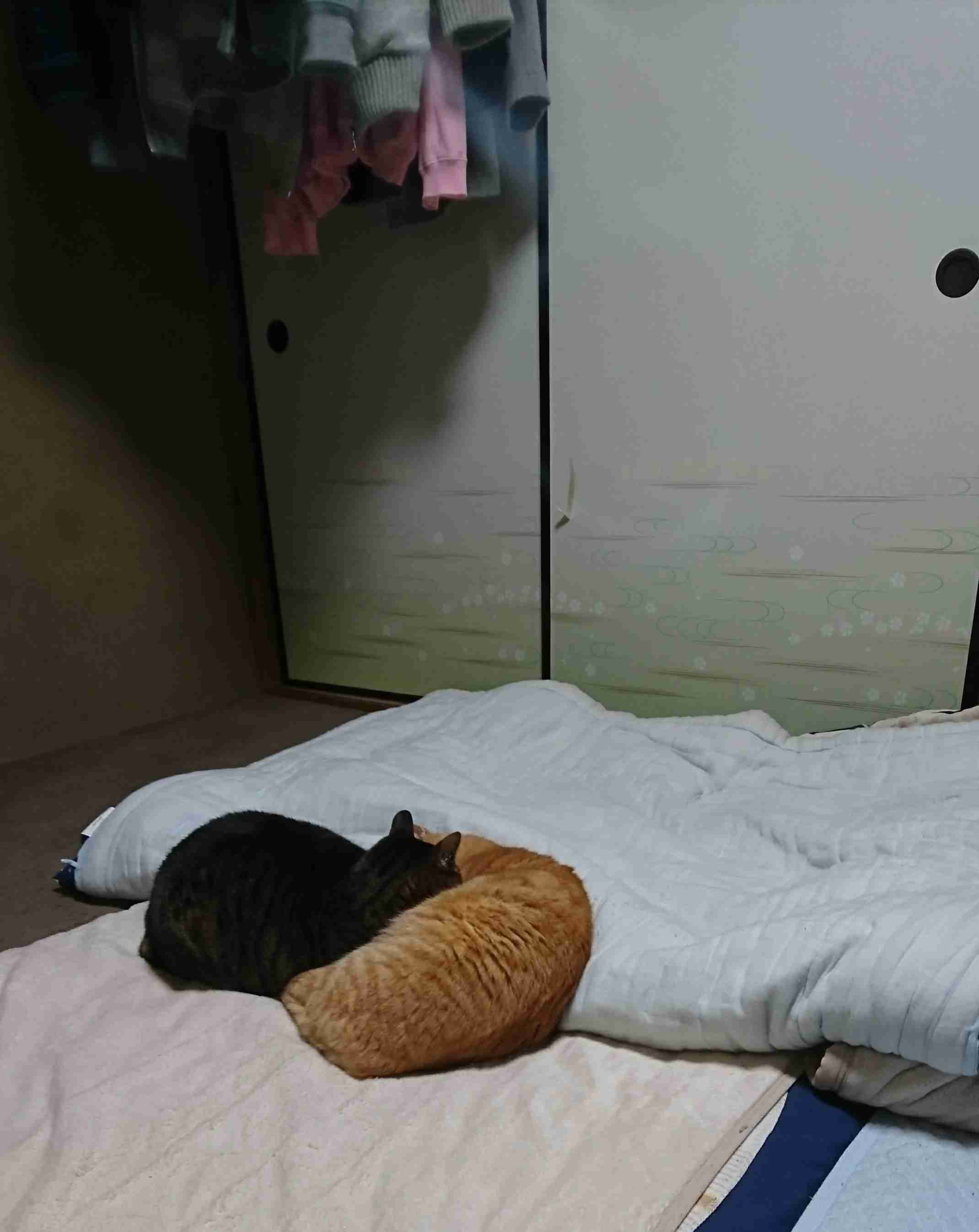 生活感溢れる写真☆part3