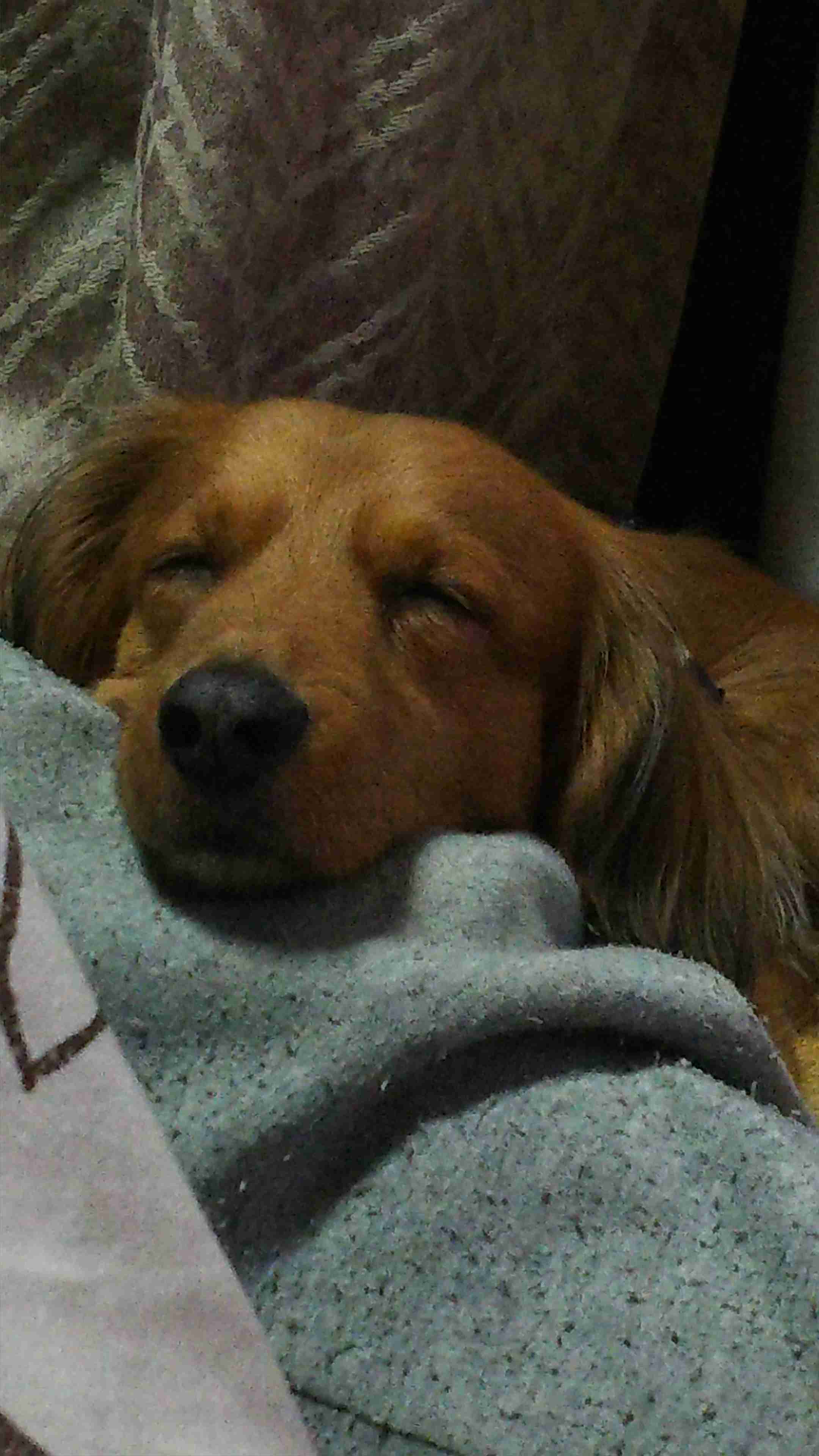 生活感溢れる写真☆part3