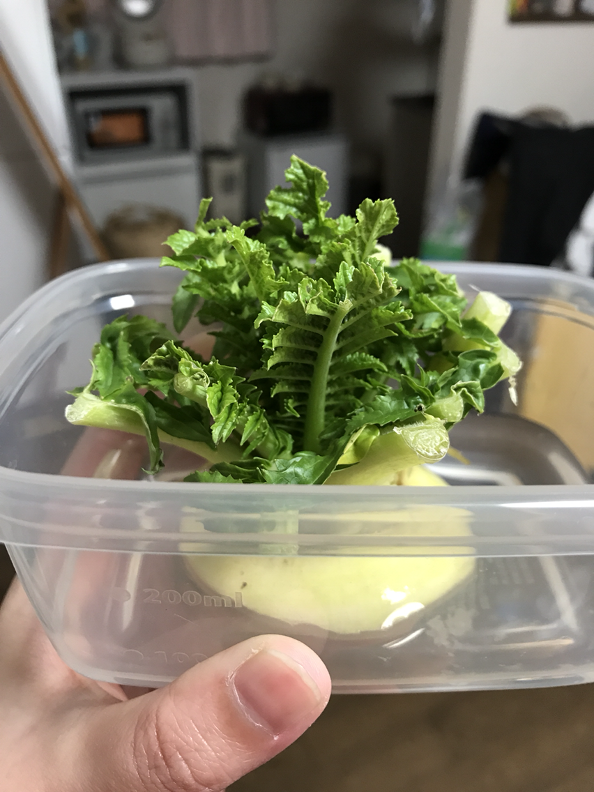生活感溢れる写真☆part3