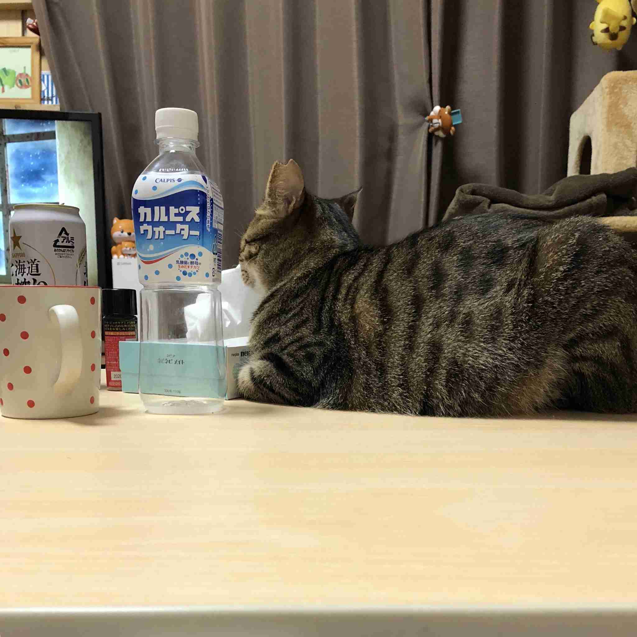 生活感溢れる写真☆part3