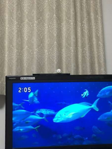 生活感溢れる写真☆part3
