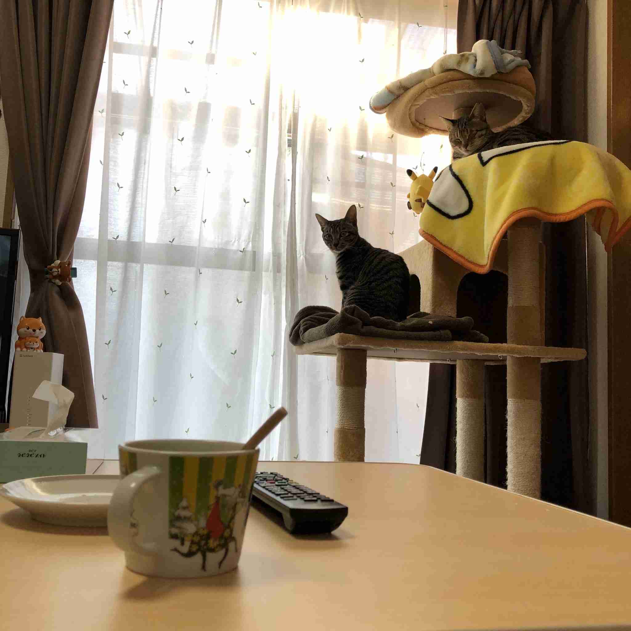 生活感溢れる写真☆part3