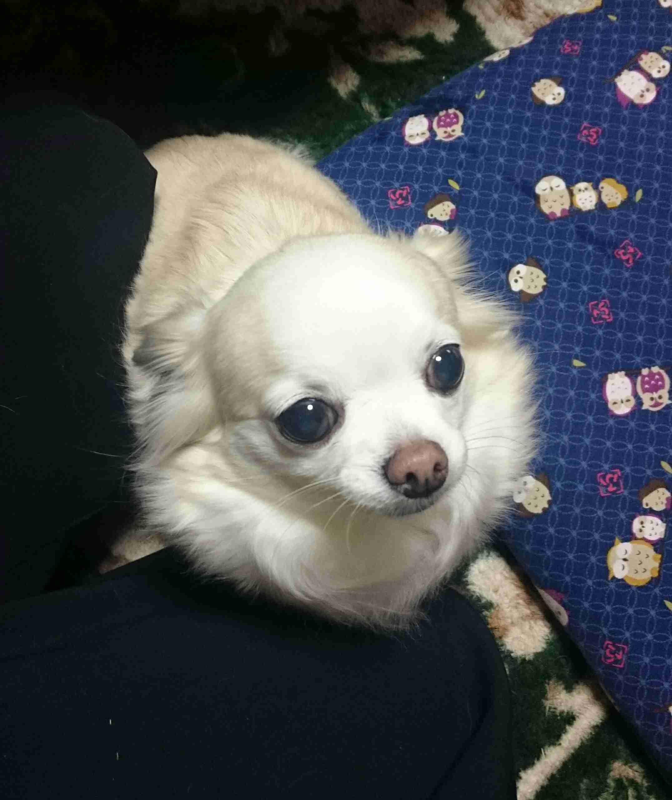 生活感溢れる写真☆part3